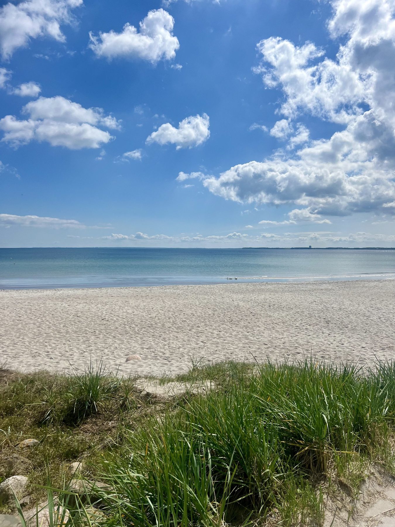Weiter Strand bei Haffkrug mit Dünengras und ruhiger Ostsee